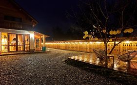 Gradina Lu' Ion 